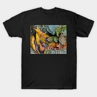 Irish Autumn Leaves T-Shirt